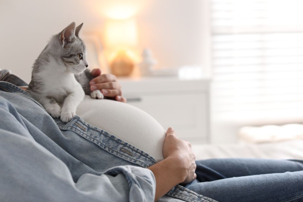 Pregnant person sitting on a couch, lightly cupping their belly, with a cat sitting on their chest. 