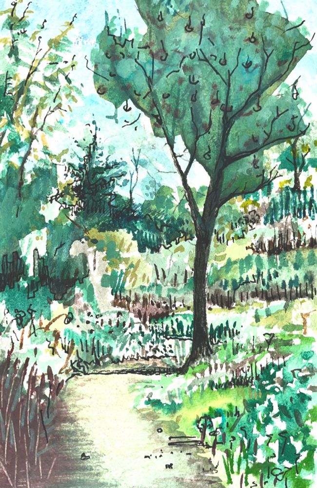 This is a watercolour painting of a woodland path. 