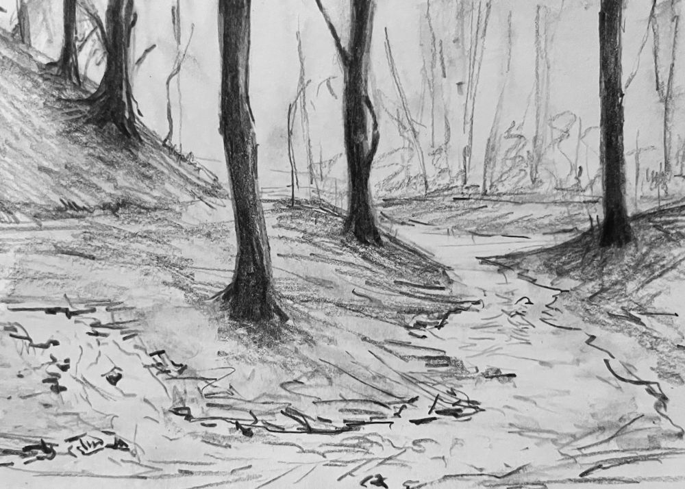 This is quite a delicate drawing of the the river that comes from Saint Anthony's Well in the forest of Dean . There is a pathway up on the left, but mainly the sketch is depicting the water and the trees on the river bank. 

There is a stream coming down from the left-hand side into the river. This stream was a fresh water spring that was pouring straight out of the ground. 

The river that it's going into is from another spring that is known as saint Anthonys well. 

Its special place. 