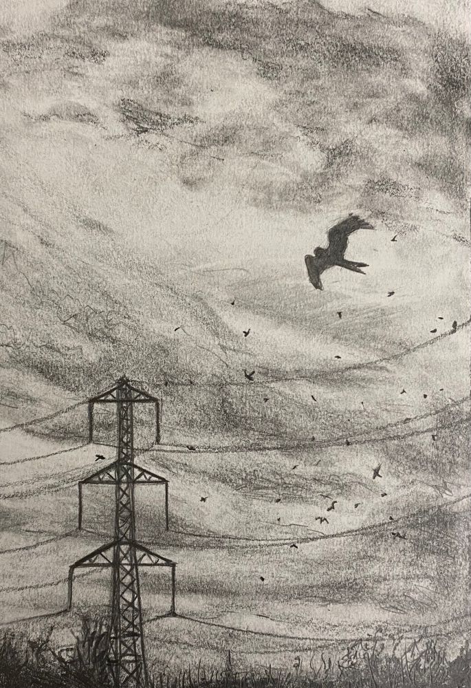 This is a graphite sketch of a sky full of clouds and birds. They a flying amongst a large electricity pylon 