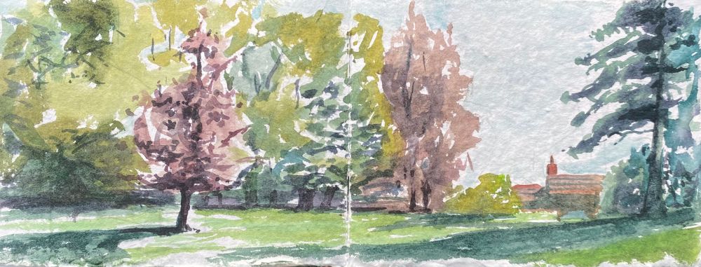 This is a watercolour painting that was painted Plein air about an hour before the Sun was setting so there's a warm light that's casting long shadows from the trees across the green grass. Does a gap in the trees and you can see a rooftop in a chimney pot and it feels like it's the entrance to the park or the way home.

