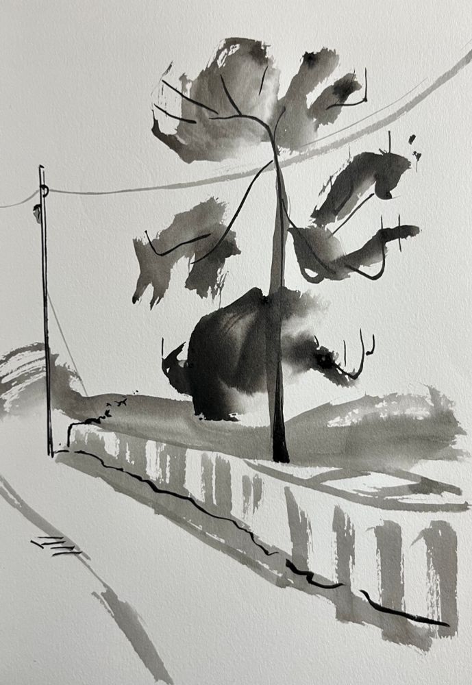 This is an ink sketch of a pint tree and a telegraph pole. 