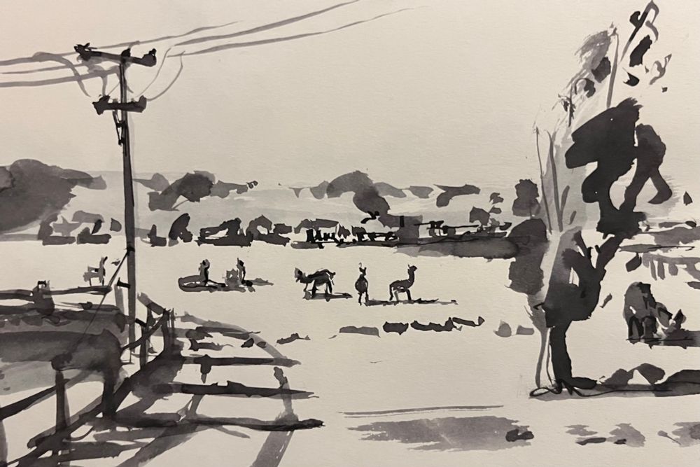This is an ink sketch of a alpaca farm there is a tree on the right hand side a telegraph pole on the left and some alpaca clustered cost together in the middle in a field. 