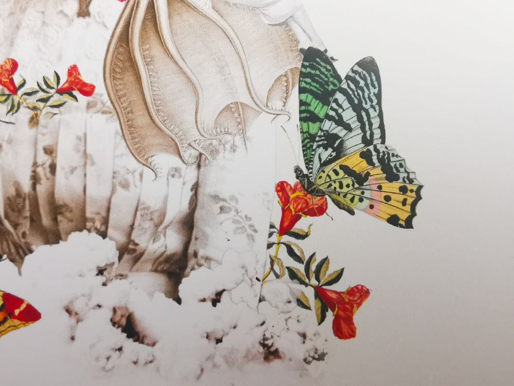 Imagen detalle de un collage donde se ven flores y una mariposa entre otros elementos. 