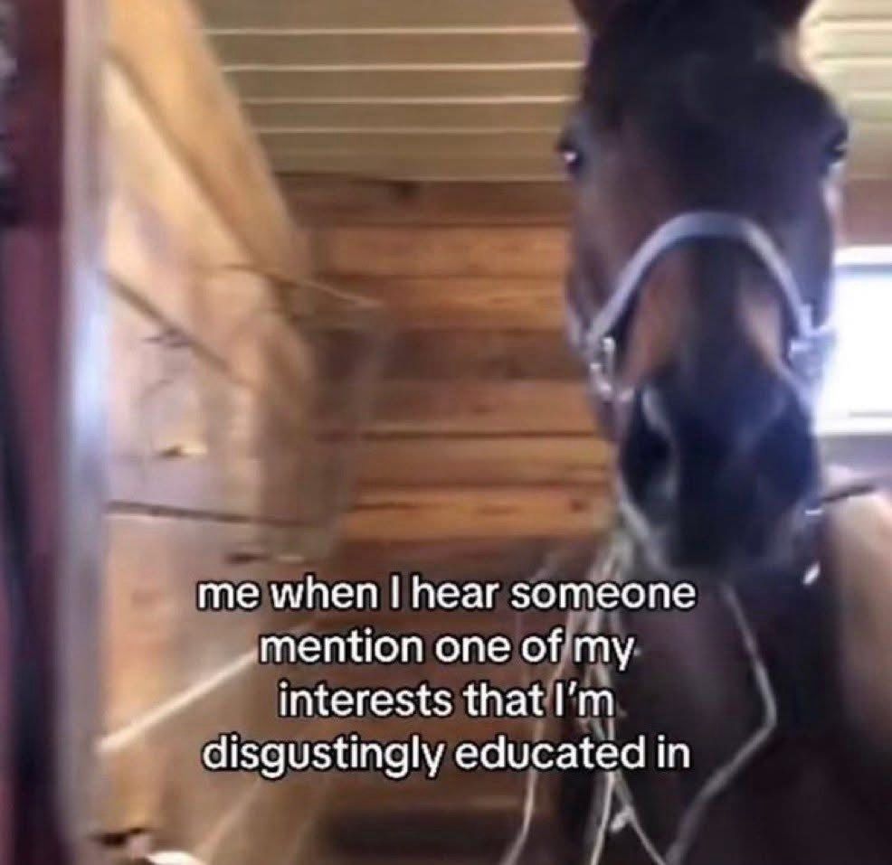 Me when i hear someone mention one of my interests that i am disgustingly interested in. There is a picture of a horse. It is distressed or interested or something. 