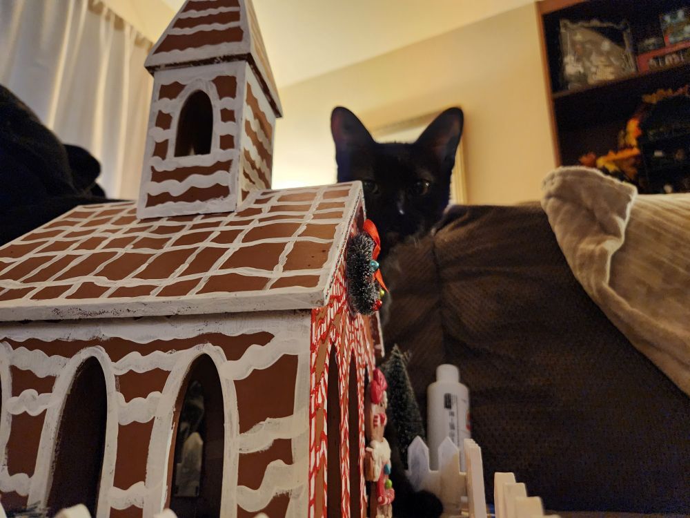 Black cat looking at the camera from behind a wooden gingerbread house decoration.