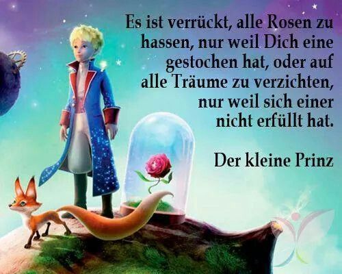 Ein Bild aus dem Buch der kleine Prinz, links vorne der Fuchs, mit langem, buschigen Schweif, hellbraun, hochgestellte Ohren, dabei steht der kleine Prinz, blonde kurze Haare, hellblauer langer Mantel, rote Umschläge an den Armen, weiße Hose, schwarze hohe Stiefel, neben ihm eine hohes Glasgefäß mit einer roten Rose drin, grünlich- violett schimmernder Hintergrund. Als Boden eine runde bräunliche Kugel, Planet, links daneben steht: "Es ist verrückt, alle Rosen zu hassen, nur weil Dich eine gestochen hat, oder auf alle Träume zu verzichten, nur weil sich einer nicht erfüllt hat.  Der kleine Prinz
