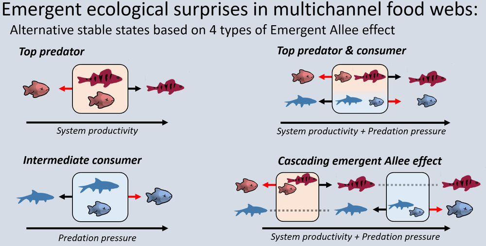 Our model highlights a diversity of potential collapses that may happen in freshwater systems in response to energetic imbalances in multichannel food webs