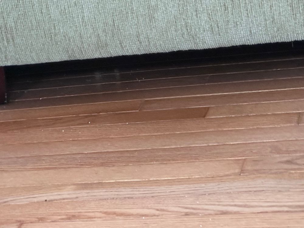 A photo of the bottom of a couch over a hardwood floor. Two green eyeballs are reelecting off of the floor in the shadows under the couch.