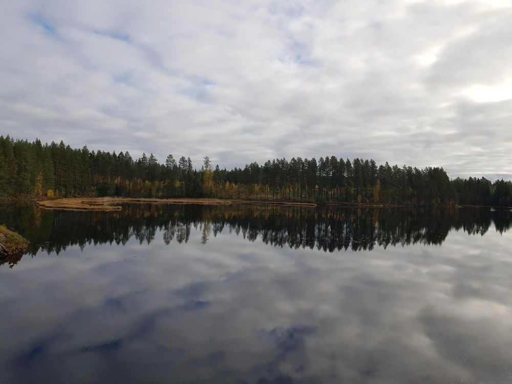 Lite mörk bild på liten tjärn vid sidan av vägen vars vattenspegel speglar den mörka skogen vid sidan, flyttuvor ute på vattnet