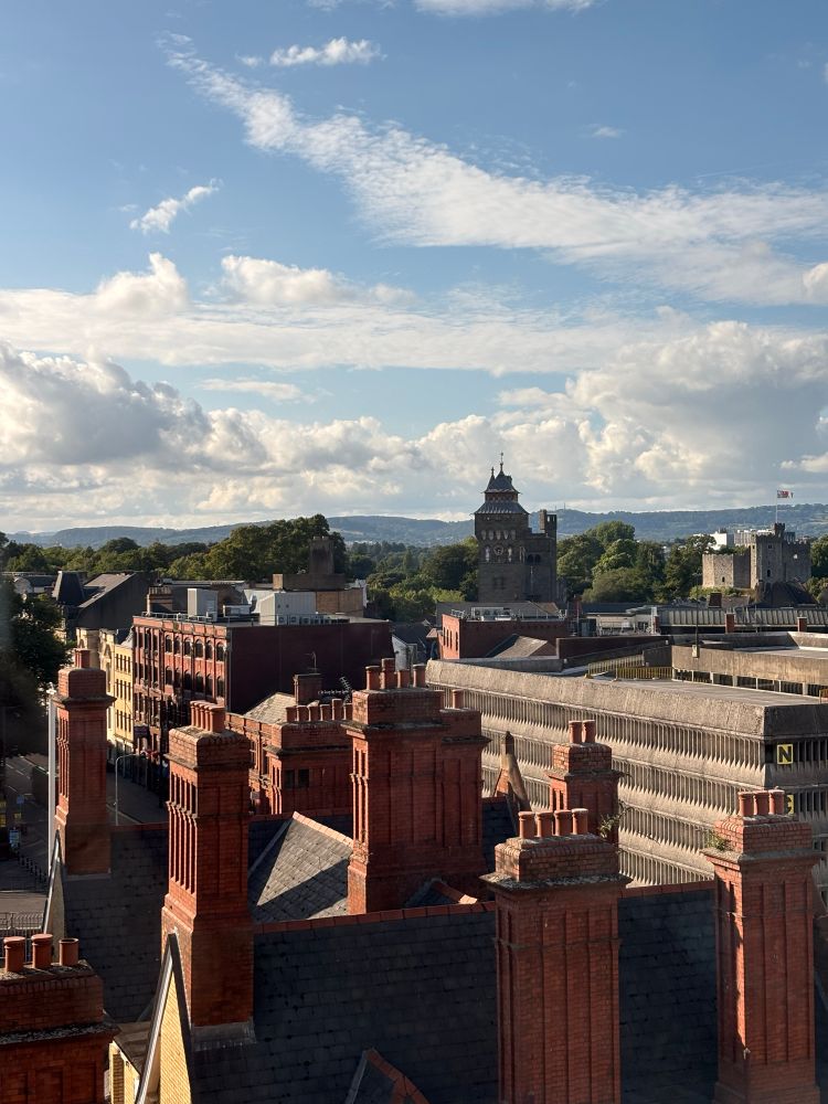 Looking onto a sky line in the distance is the Bute castle behind that mountains and a blue skyline 