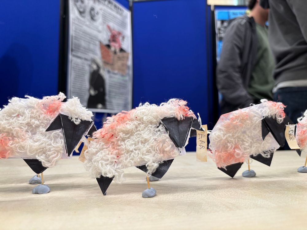 Hand made lambs in a table poster in the background