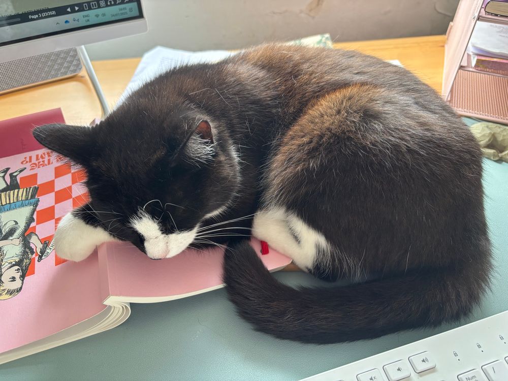 A black ans white cat on a desk with them resting on a pink notebook with Alice and Wonderland on the cover 