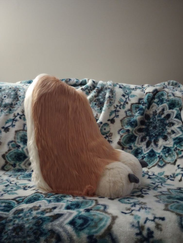 Glued foot paw, side view