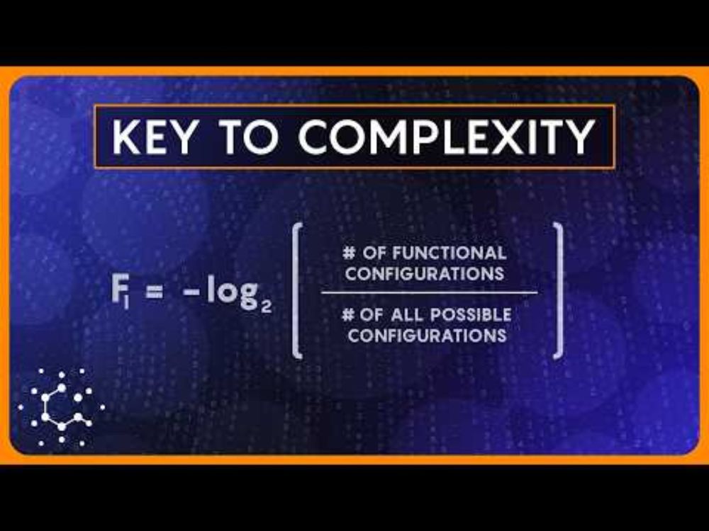 Is Information a Fundamental Force of Physics?
