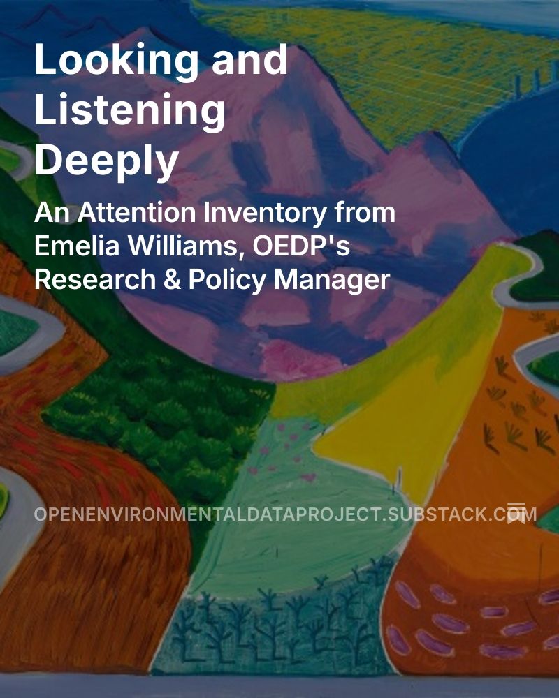 Looking and Listening Deeply: An Attention Inventory from Emelia Williams
