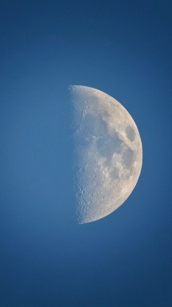 A photograph of a half moon against an early morning blue sky. 