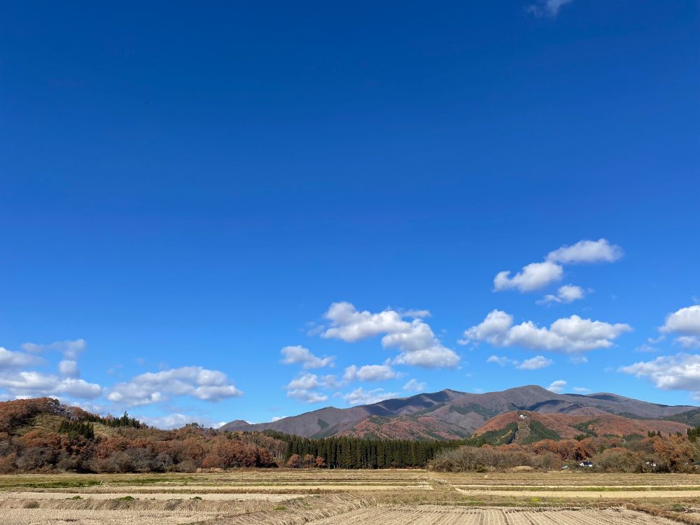 青空の下、紅葉した山々や木々と、稲刈りの終わった田んぼが写った写真