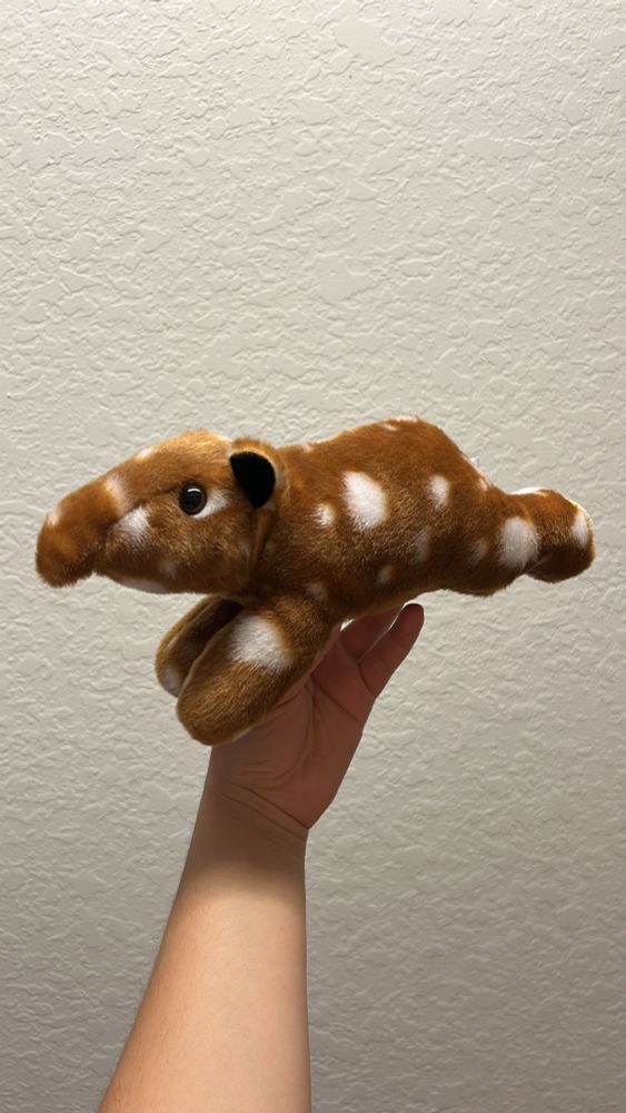 Me holding an Aurora brand baby tapir plushie, now without tags. It’s being held up in front of a blank wall