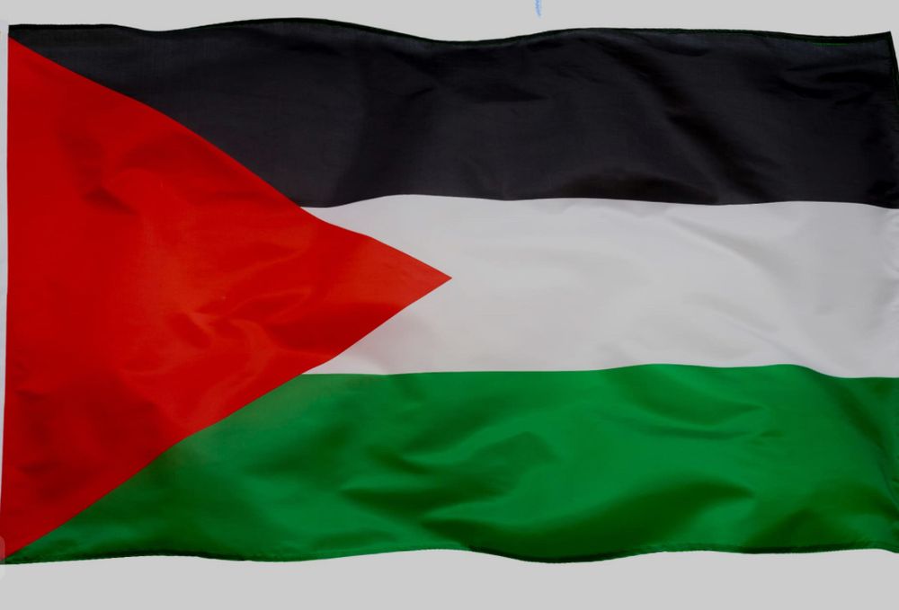 Palestinian Flag