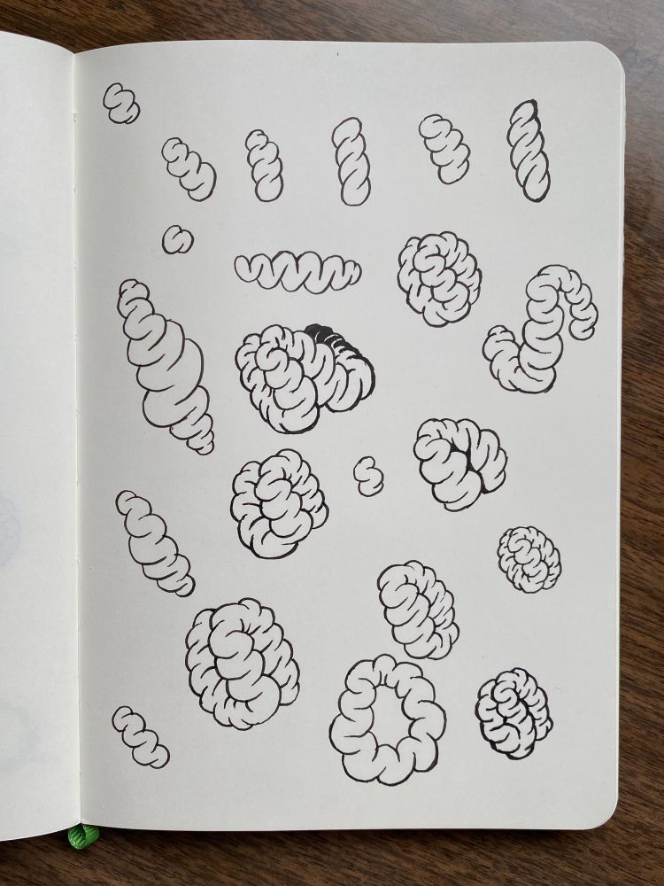 Drawings in a sketchbook of some weird folded brain looking blobby things