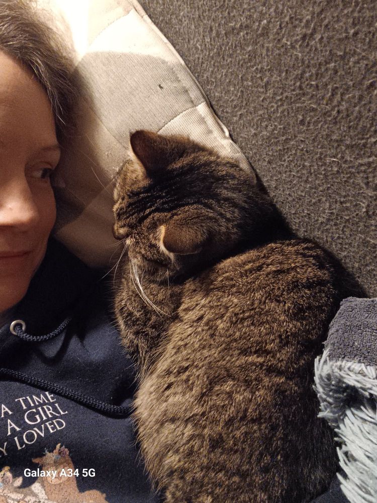 Albena graubraun getigertes Katzenmädchen liegt auf meiner linken Schulter. In ihrem Rücken ist die graue Sofalehne, ich bin halb im Bild und schaue Albena an. Wir liegen auf einem beuge-grauen Kissen