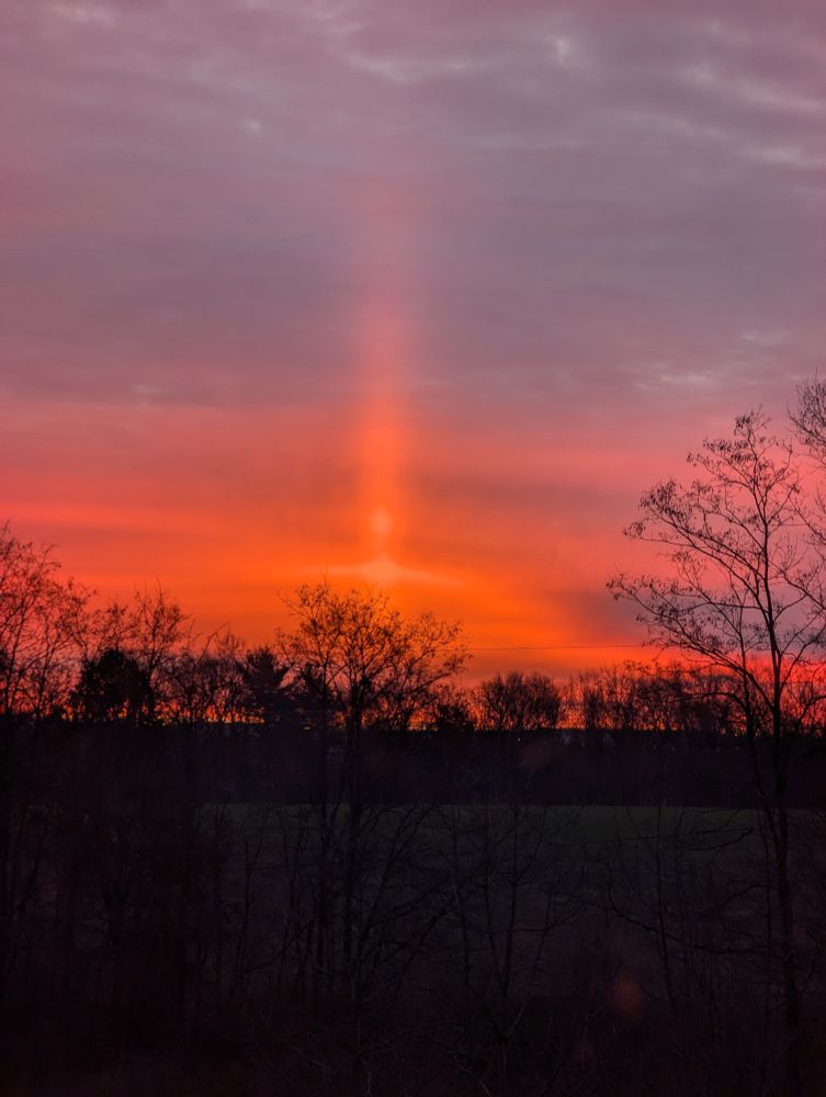 Orange column cloud caught at sunrise.  Foreground trees in black silhouette.  Cloudy sky in orange and purple stripes.