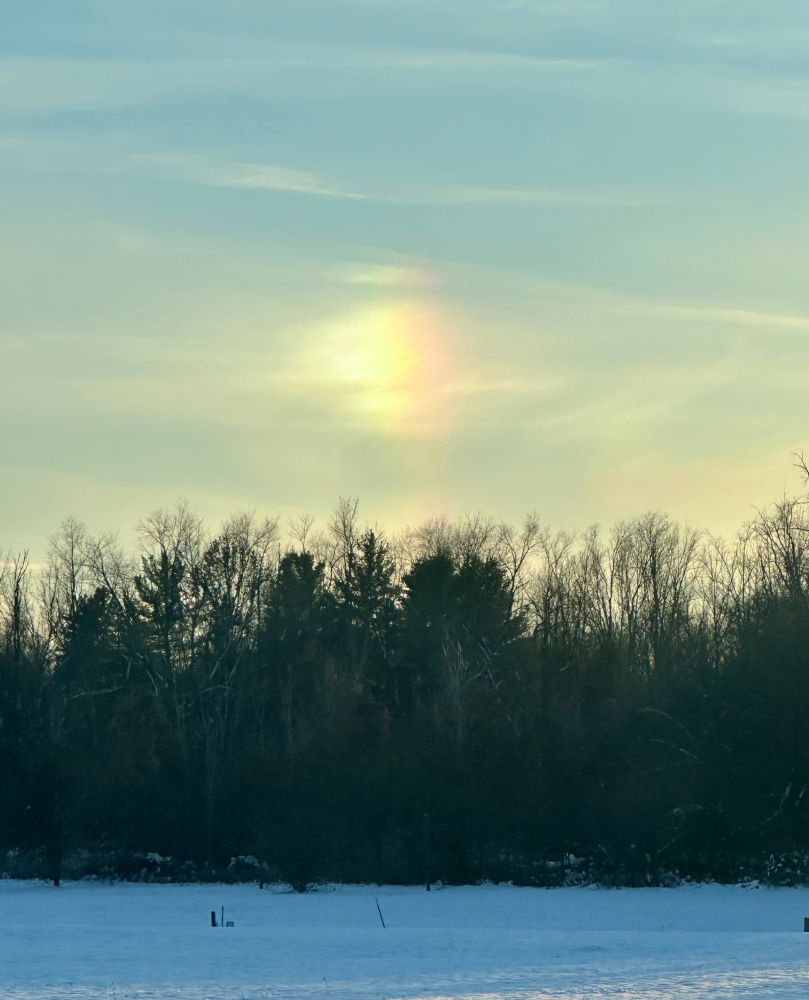 The pink and yellow part of a rainbow in a grey winter sky with thin streaks of white clouds, above the tree line and a snowy field