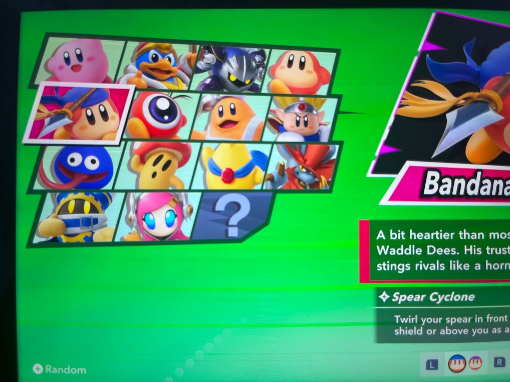 kirby air riders character select BUT RICK ISNT THERE :(