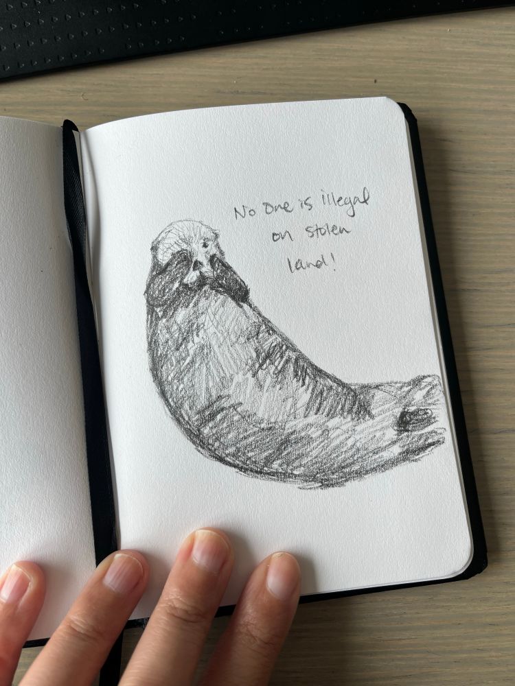Pencil drawing of a sea otter holding its face with the text “no one is illegal on stolen land” 