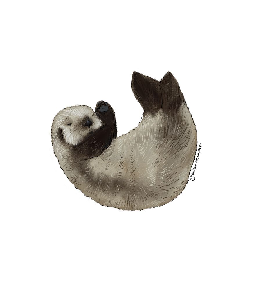 Drawing of Tofino the baby sea otter