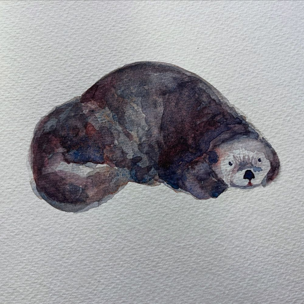 Watercolor of a sea otter looking a bit like a potato 