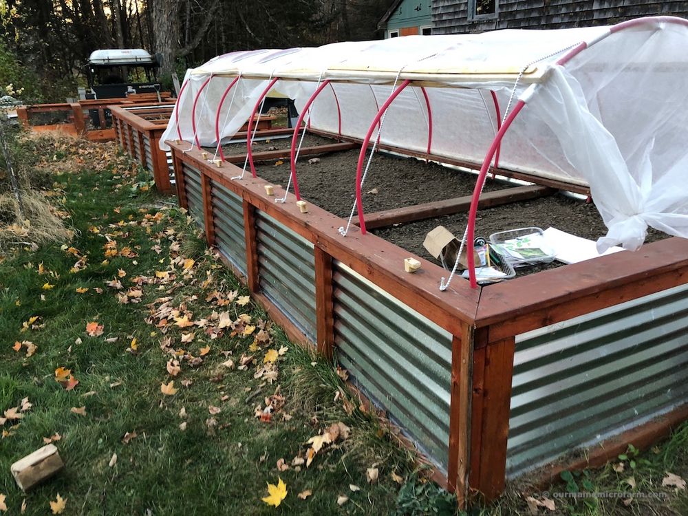 Long tall raised bed with hoops and garden cloth raised on one side.
