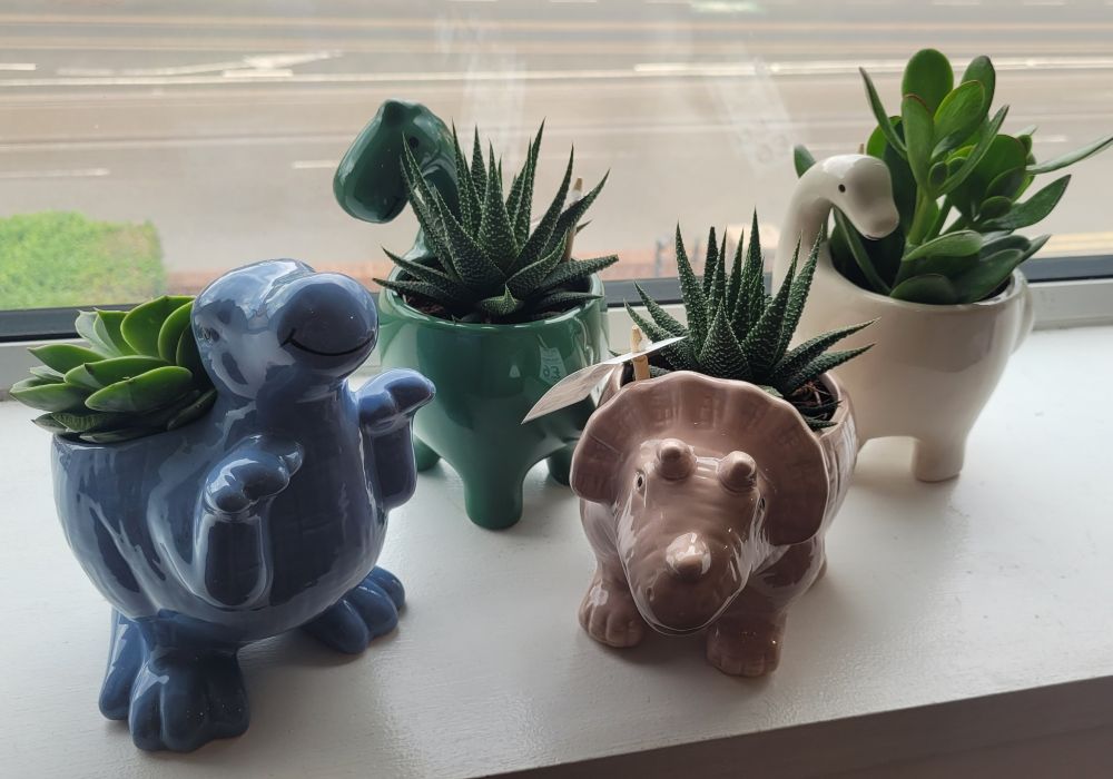 Various coloured plant pots shaped like dinosaurs and containing succulents