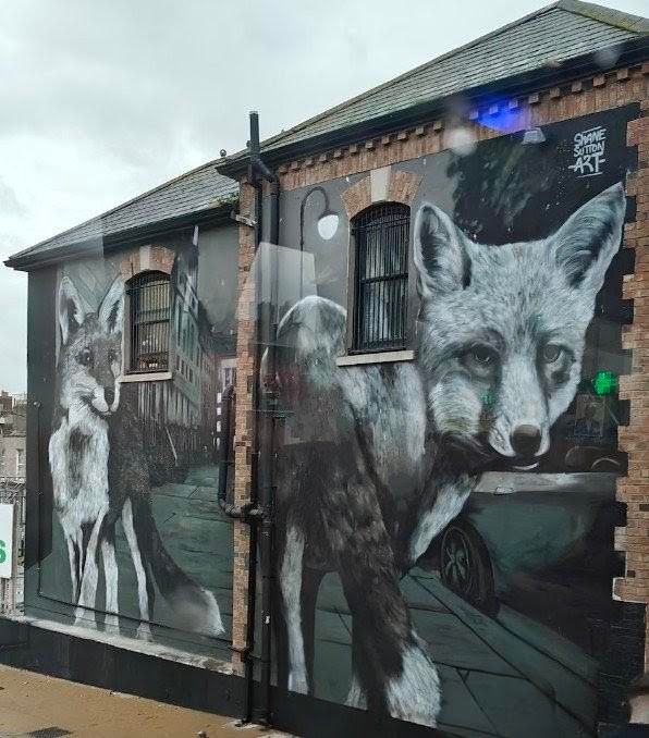 Eine große Backsteinhauswand in Dublin. 2 Füchse darauf. Einer steht nach vorn gerichtet, der andere in der Rückansicht, aber den Kopf nach vorn gewandt. Alles in schwarz, weiß und grau gehalten.

[Leider nur aus dem Bus heraus fotografiert.]