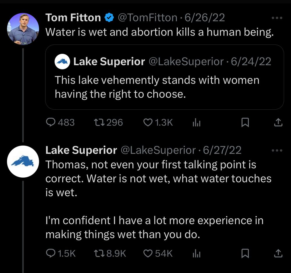 Same picture as above but with dates from June 2022 instead of 1 hour ago on the tweets.