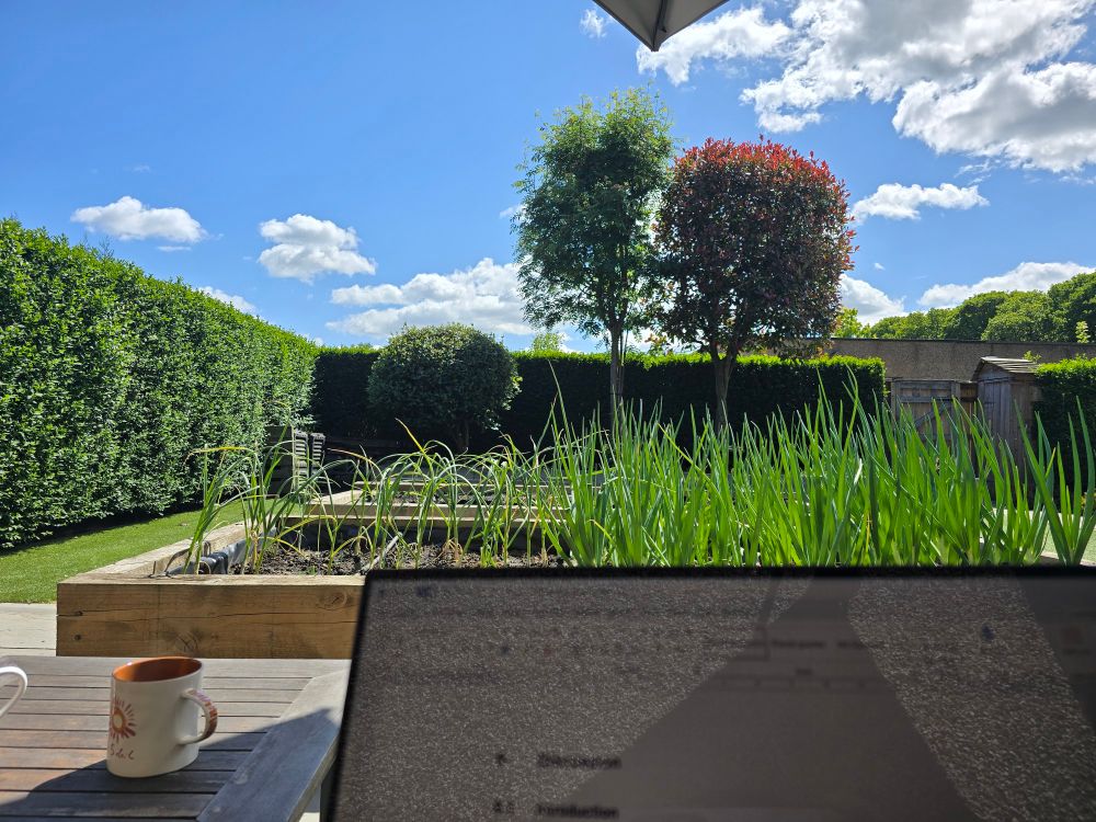 A garden scene with trees and blue skies in the distance, a vegetal patch in the middle with onions and garlic growing, and a laptop in the foreground.