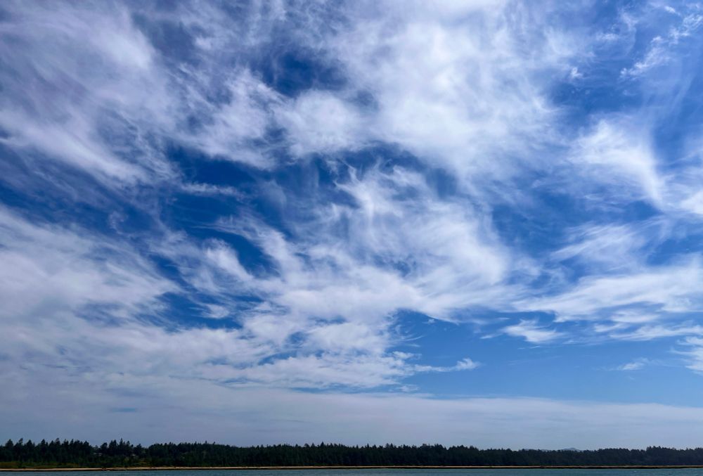 cirrus clouds, which are high-altitude, thin, and wispy clouds composed of ice crystals. they have a delicate, feathery appearance and can be found in various shapes and patterns across the sky. 