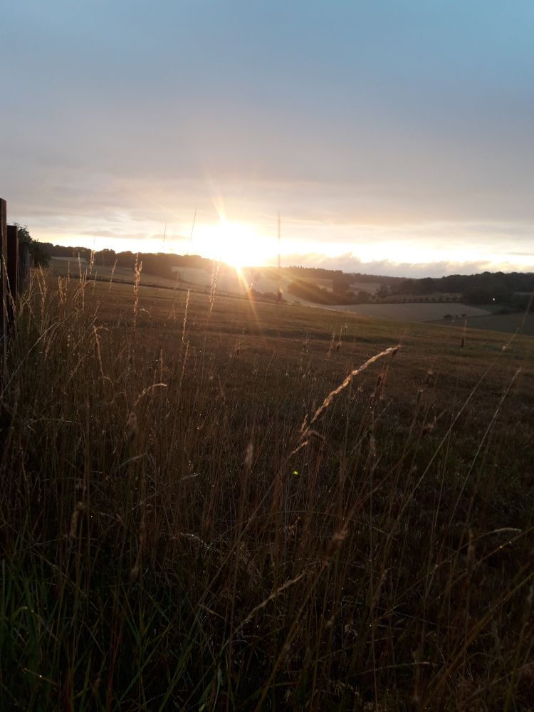The sun appears between clouds and horizon as rain showers progress across English downland.  Grass is lit up in the foreground...