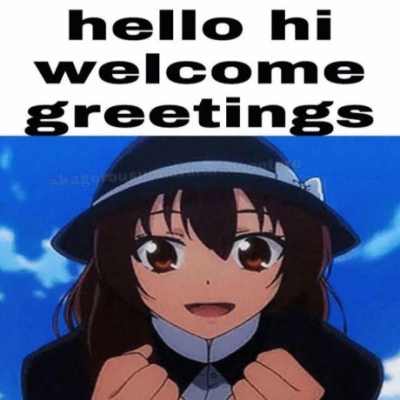 Renko from the Hifuu fan anime with the top meme caption "hello hi welcome greetings"