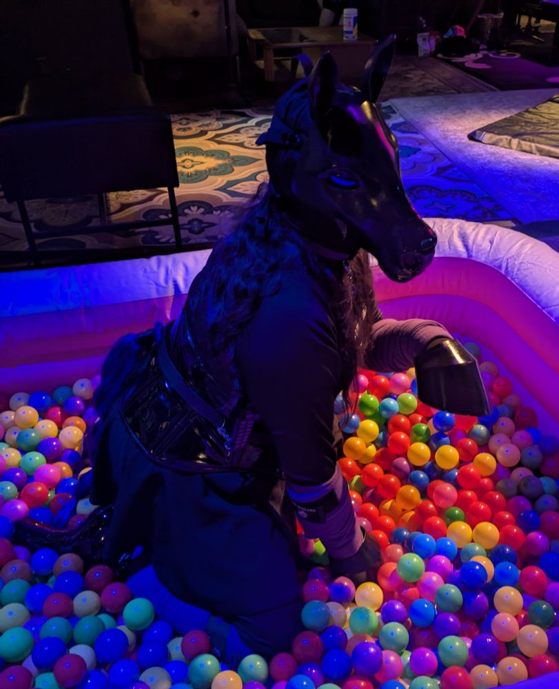 Nyxie in pony play gear in a ball pit raising a hoof