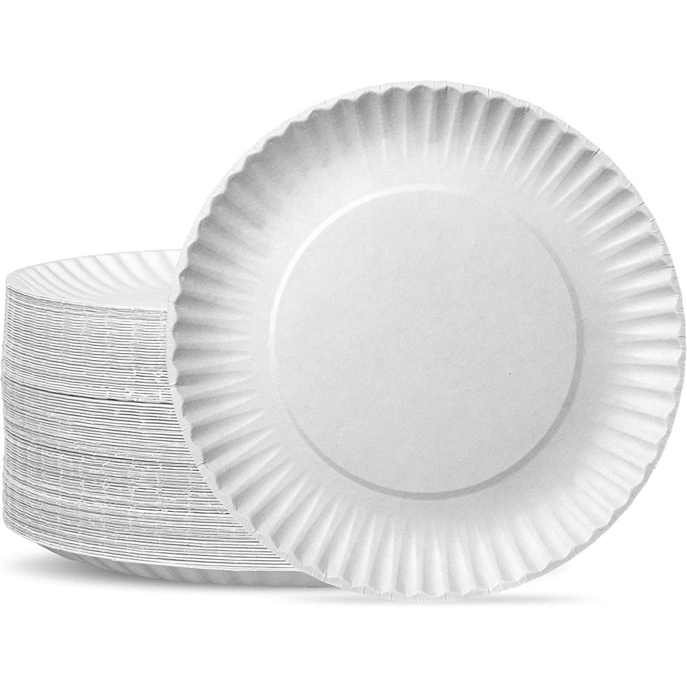 Paper plates, where things just hit different