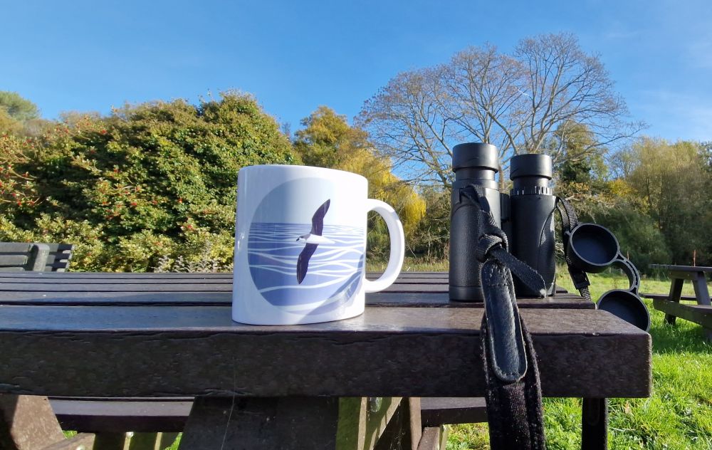 Pterodroma mug from Alula Designs on a bench next to a pair of binoculars