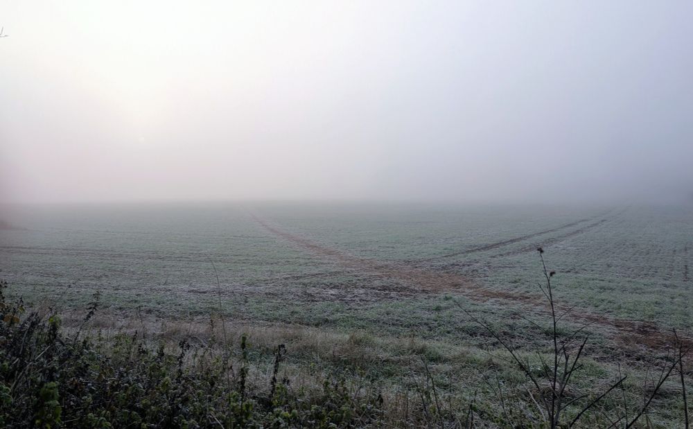 A chilly and fog-shrouded Wednesday morning in Derbyshire. 
