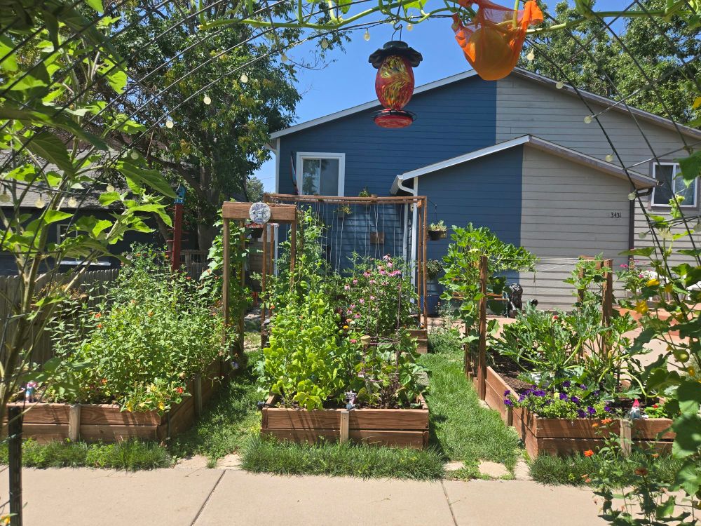 The entire front yard was food and flowers