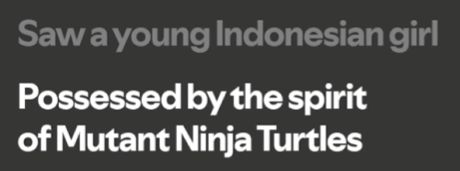 Lyrics from Strange Ritual by David Byrne:
Saw a young Indonesian girl
Possessed by the spirit of Mutant Ninja Turtles