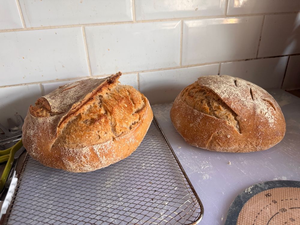 Two loaves of bread that rose more than 0 centimetres because the baker didn’t absolutely cock up the process of making them.