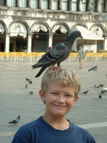 A young boy with a pigeon on his head