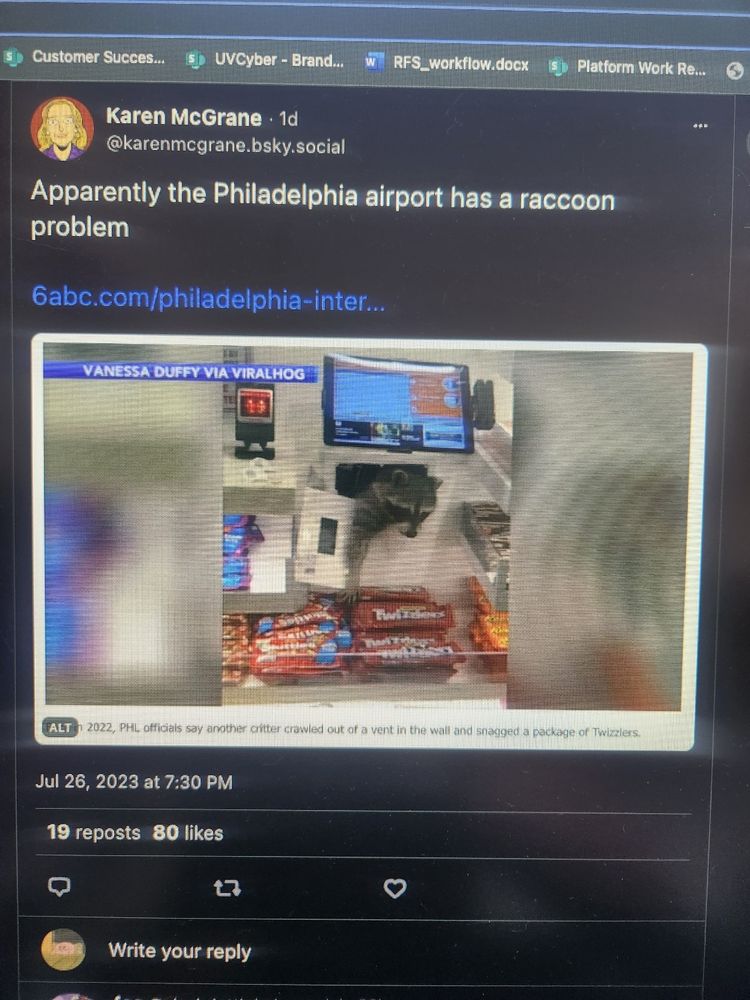 Racoon stealing twizzlers from an airport vent
