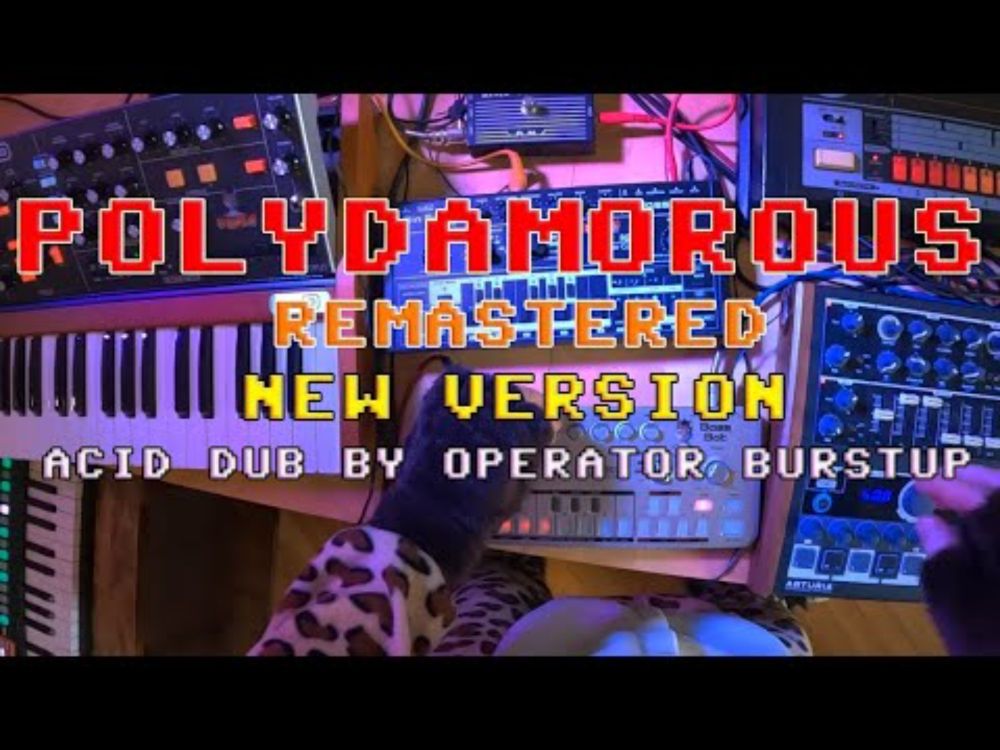 POLYDAMOROUS remastered version #AcidDub #Techno #tb303 #tr808 #PolyD